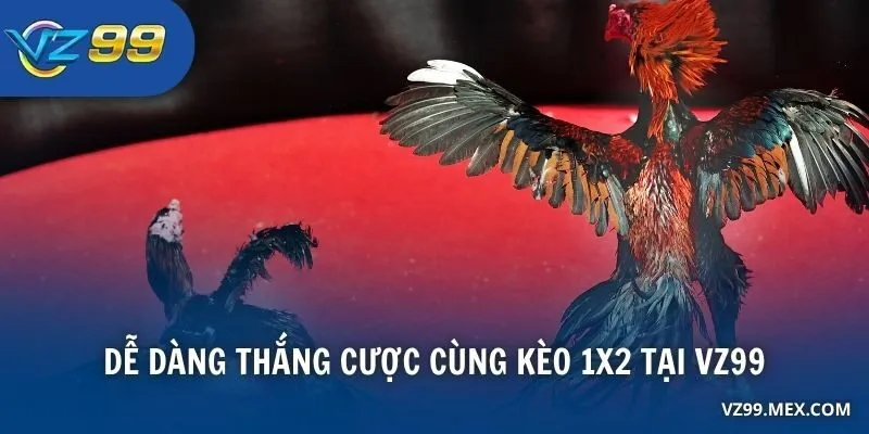 Dễ dàng thắng cược cùng kèo 1X2 tại VZ99