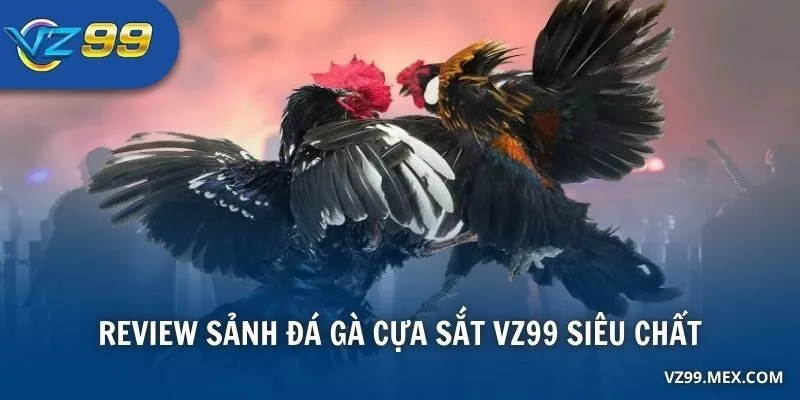 Review sảnh đá gà cựa sắt VZ99 siêu chất